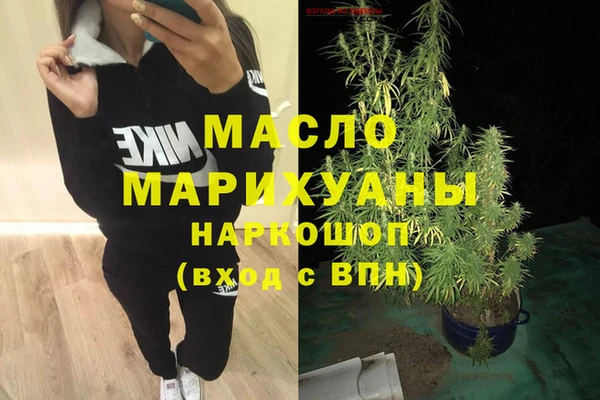 индика Бронницы